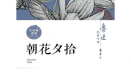 漫画朝花夕拾,漫画中的青春记忆与成长轨迹